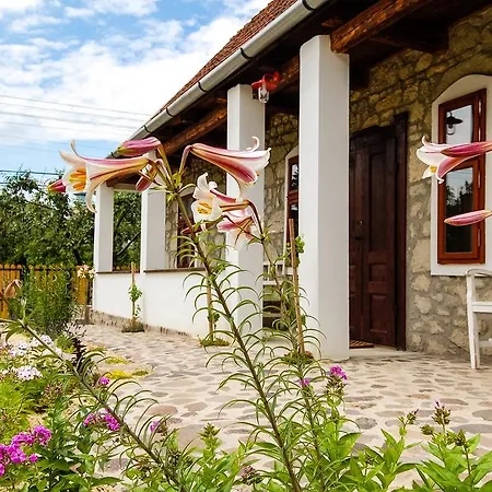 Vitamin B63 Vendeghaz Guest house Boldogkovaralja