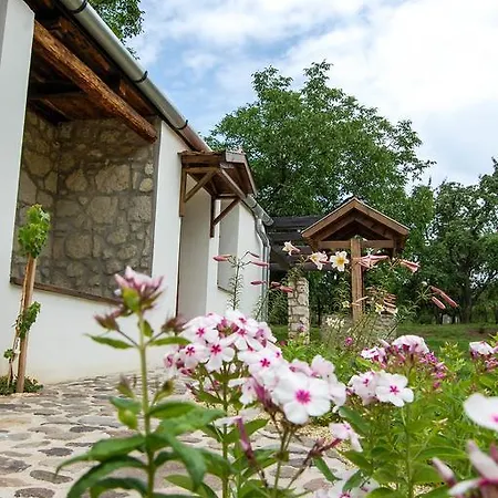 Guest house Vitamin B63 Vendeghaz