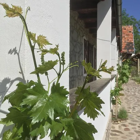 Vitamin B63 3* Boldogkovaralja
